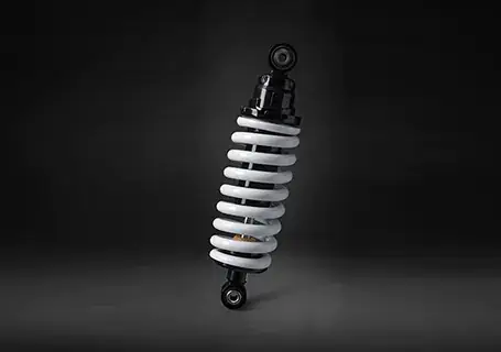 Suspension of TVS RR 310 Motorcycle
